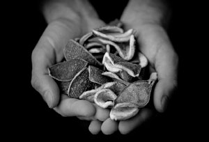 Image de présentation du livre Distillerie Combier, une saga française